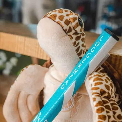 Loggerhead Cares plush turtle holding a putter